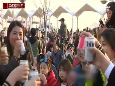 现场：超四千中国游客参加韩国炸鸡啤酒派对