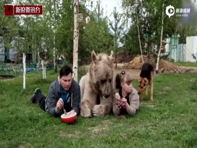 俄罗斯夫妇养23岁大熊当宠物 每日同桌进餐 