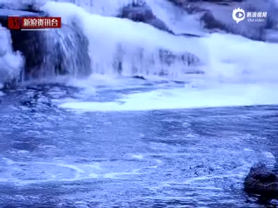 谁最坚强？新浪实拍：寒潮中的北京动物园